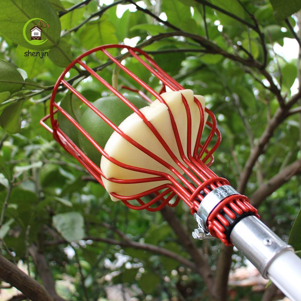 shenjin SHENJIN Orange Picking Peach Pick up Deep Basket Fruits Catcher