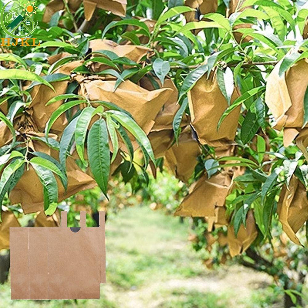 HJKL 100 Túi Bảo Vệ Trái Cây Orchard, Vỏ Bảo Vệ Nho Chống Nắng, Bền Chống Chim Thoáng Khí Chống Côn 