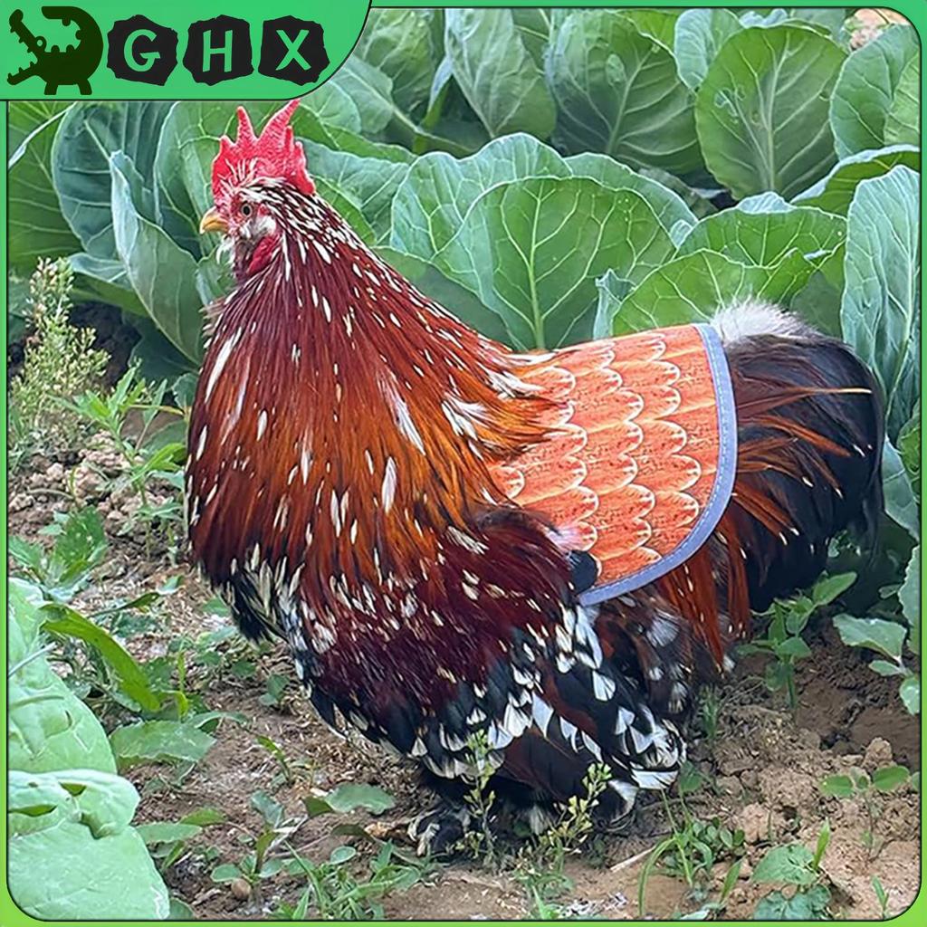 GHX Yên Gà Cho Gà Mái, Tạp Dề Gà Bảo Vệ Lưng Cho Gà Mái Có Dây Đeo Có Thể Điều Chỉnh, Gà Gà Gà Hú Th