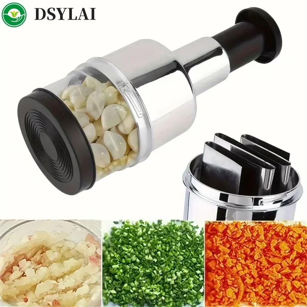 DSYLAI Onion Chopper, Máy ép tỏi cầm tay bằng thép không gỉ, Máy xay gừng Hướng dẫn sử dụng nhỏ gọn 