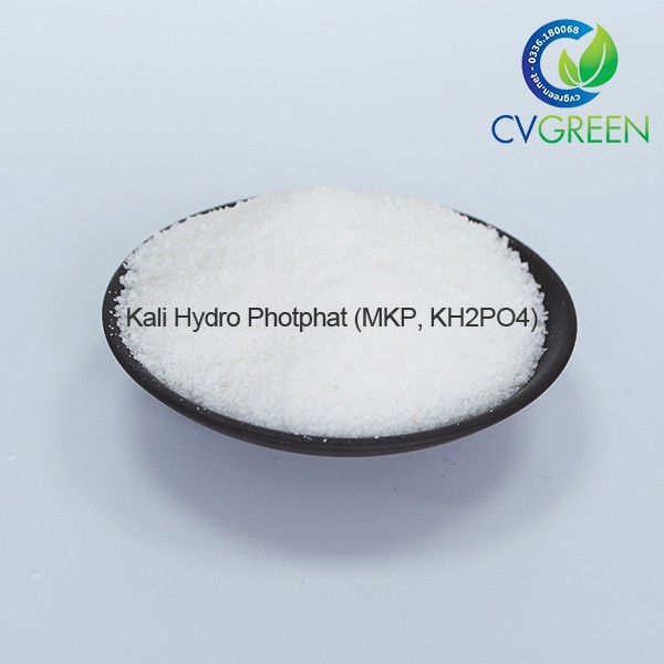 (Bao 25kg - 66k/kg) Kali Hydro Photphat (MKP, KH2PO4) bón lá (gói 1kg) ĐD