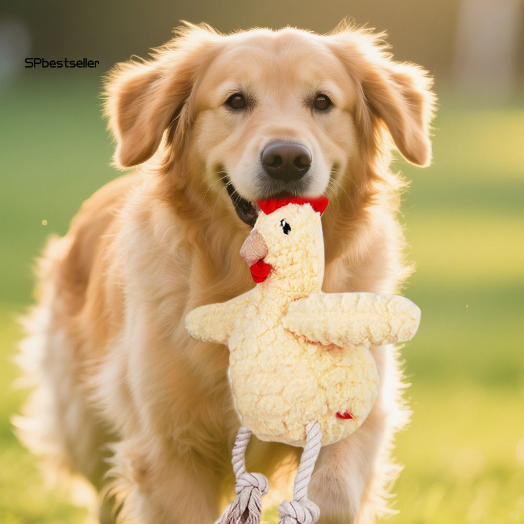 Sp Puppy Chew Toy Soft Plush Puppy Toy Soft Plush Dog Chew Toy with Squeaker – Octopus Sloth Chick R