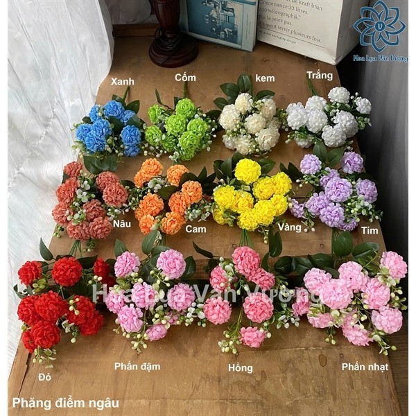 Hoa Giả, Hoa Phăng Điểm Lá Ngâu