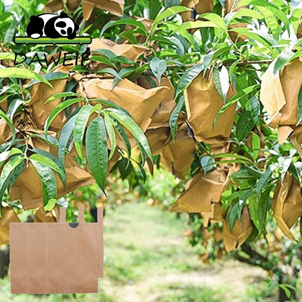 DAWEIF 100 chiếc Vỏ bảo vệ nho, Túi bảo vệ trái cây Orchard chống chim thoáng khí, Túi chống nắng bề