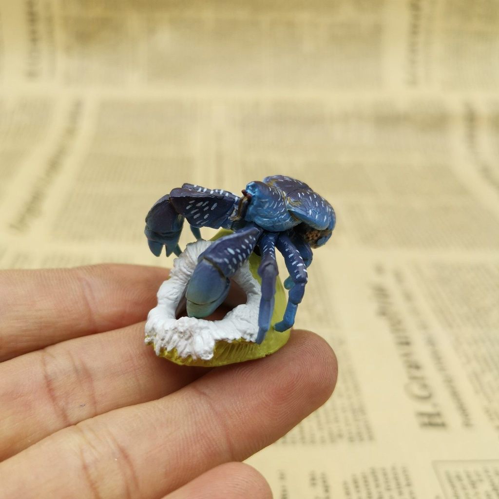 Hàng số lượng lớn chính hãng Kaido Gashapon Khu vực giới hạn Okinawa Cua dừa Hermit Cua xanh Mô hình