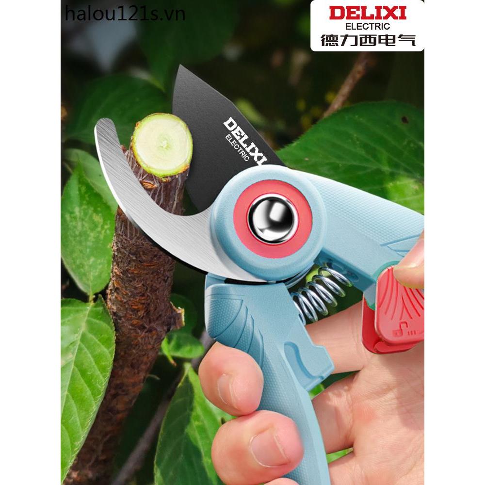 Delixi Làm Vườn Kéo Cây Trái Cây Cắt Tỉa Đức Nhập Khẩu Thủ Công Cắt Tỉa Nhánh Hoa Kéo Nhánh Kéo Đặc 