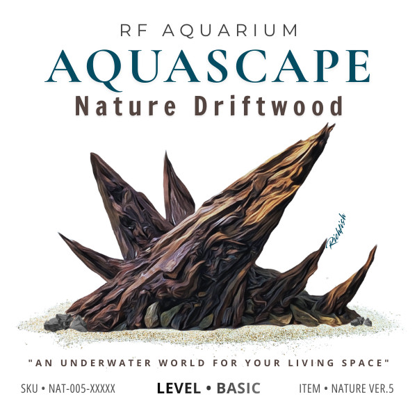 Layout Nature Ver.5 | Điểm Nhấn Nổi Bật Cho Bể Thuỷ Sinh Mini Trang Trí Bàn Làm Việc | RF Aquarium