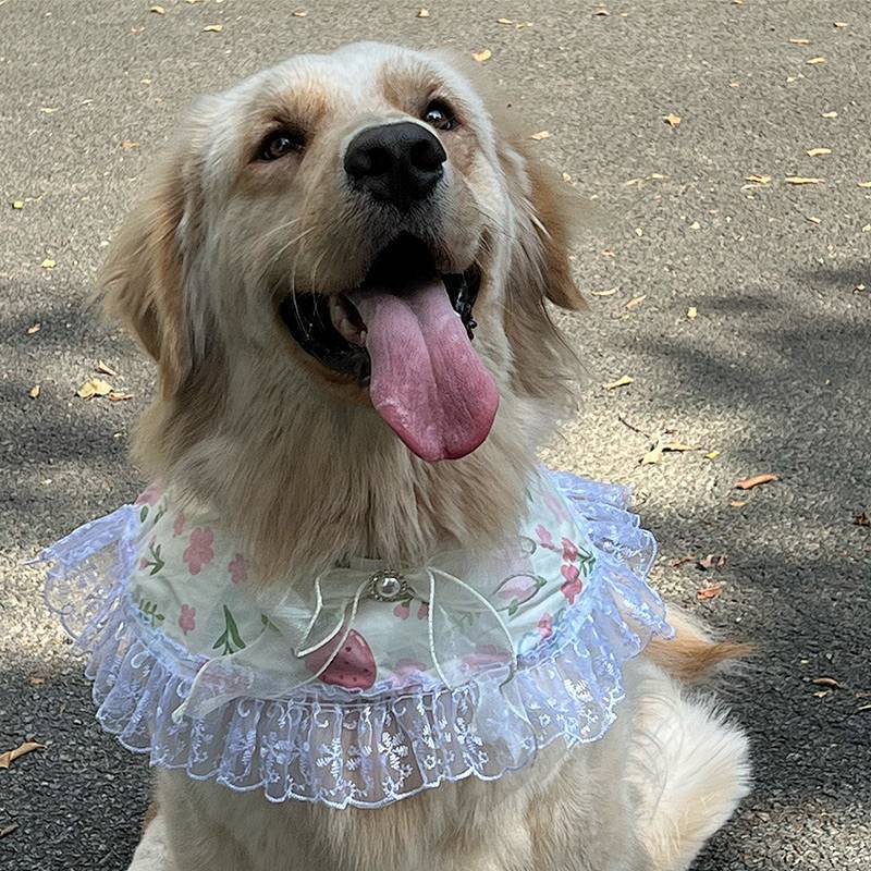 Cute Flowers Strawberry Scarf Dog Scarf Scarf Decorations Bow Tie Large, Medium and Small Dogs Golde