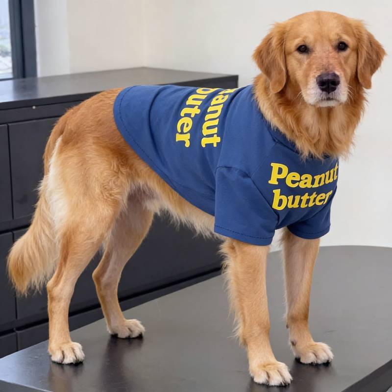 【Ready Stock】 Summer Thin Large Dog Clothes Anti-Lint Golden Retriever Alaska Breathable Sun Protect