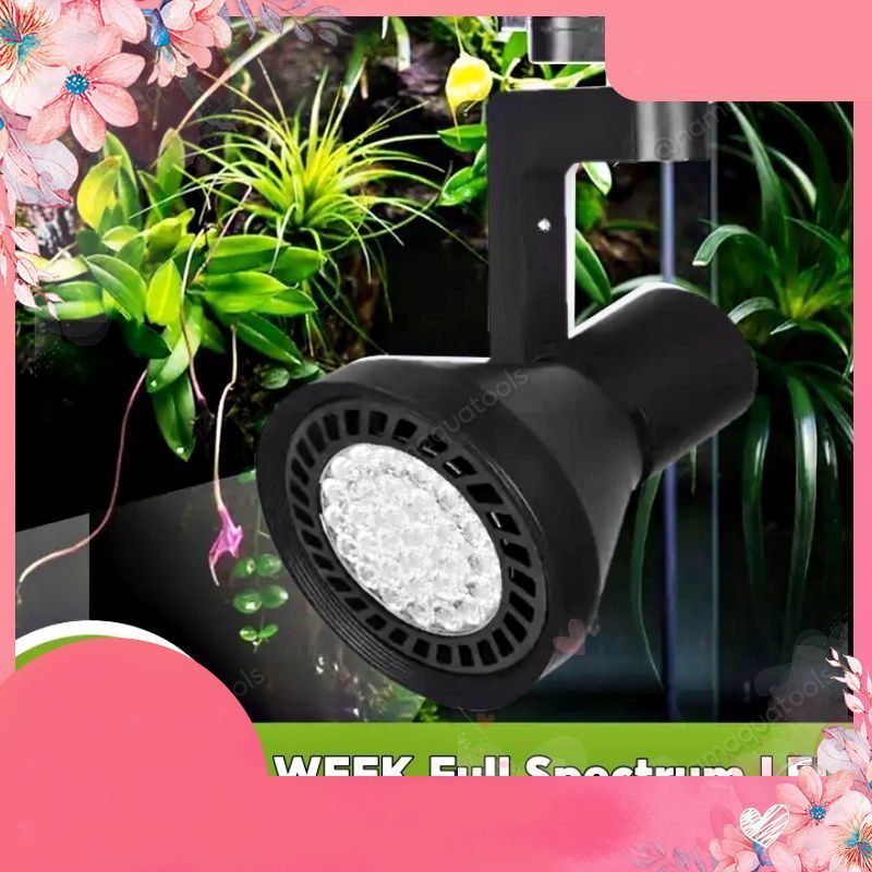 WEEK - Đèn LED Rọi Week Y30 Màu WRGB Full Quang Phổ Cho Bể Bán Cạn, Bể Thuỷ Sinh .namaquatic