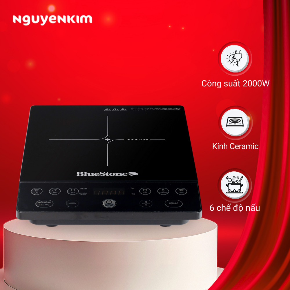Bếp từ đơn BlueStone ICB-6610