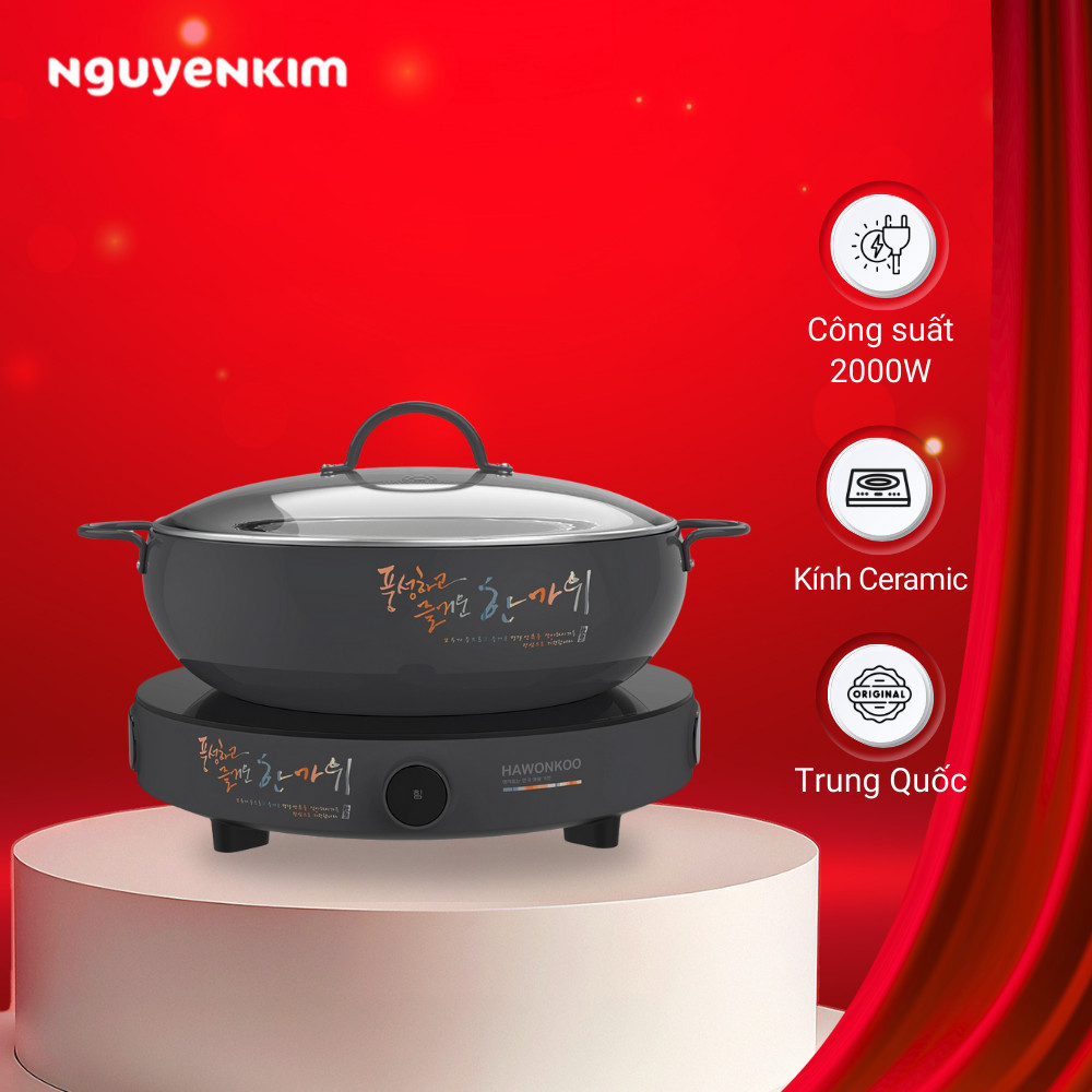 Bếp từ đơn Hawonkoo CEH-101-I-GR