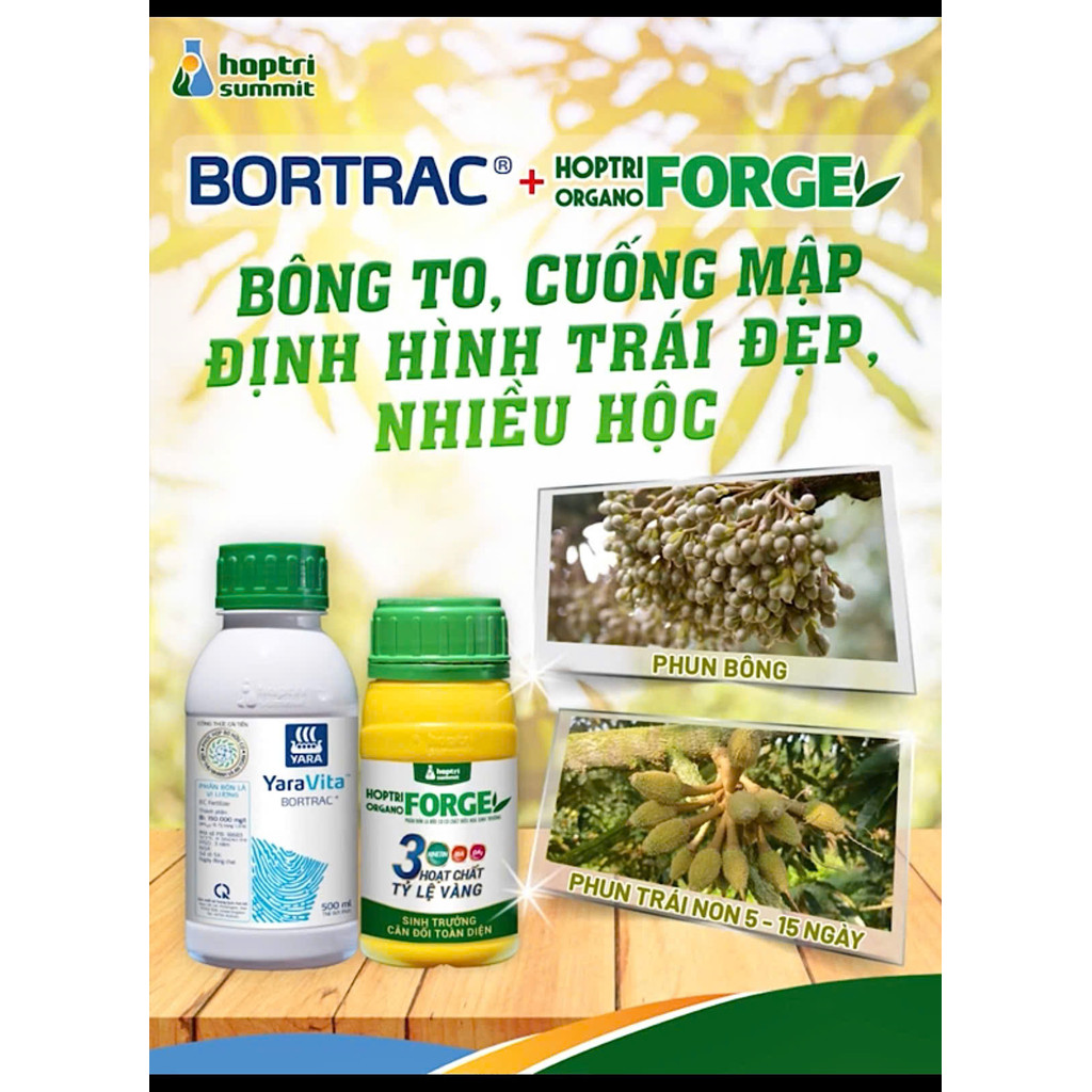 Hợp Trí Organo Forge 250ML - Rễ nhiều + Tược mập Bông to + Trái lớn