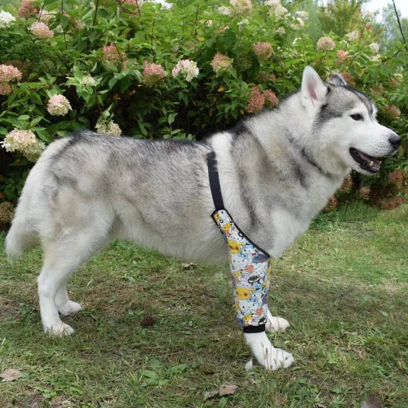 Big Dog Elbow Pad Joint Protection Anti-Wear Anti-Licking Husky Labrador Alaska Golden Retriever Dog