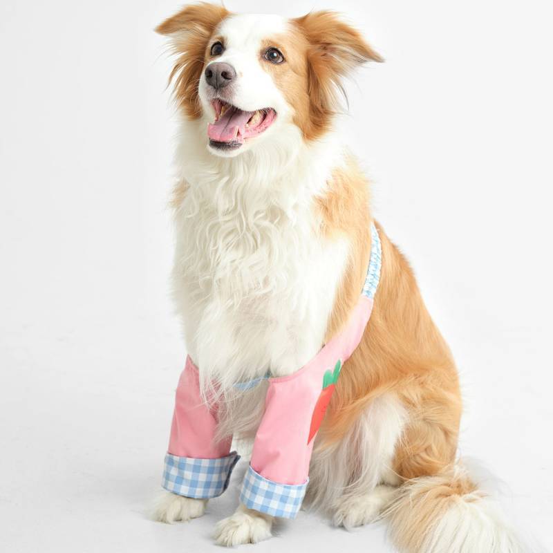 Dog Elbow Pad Joint Protective Cover Pet Clothes Knee Pad Oversleeve Medium Large Dog Warm Spring Cl