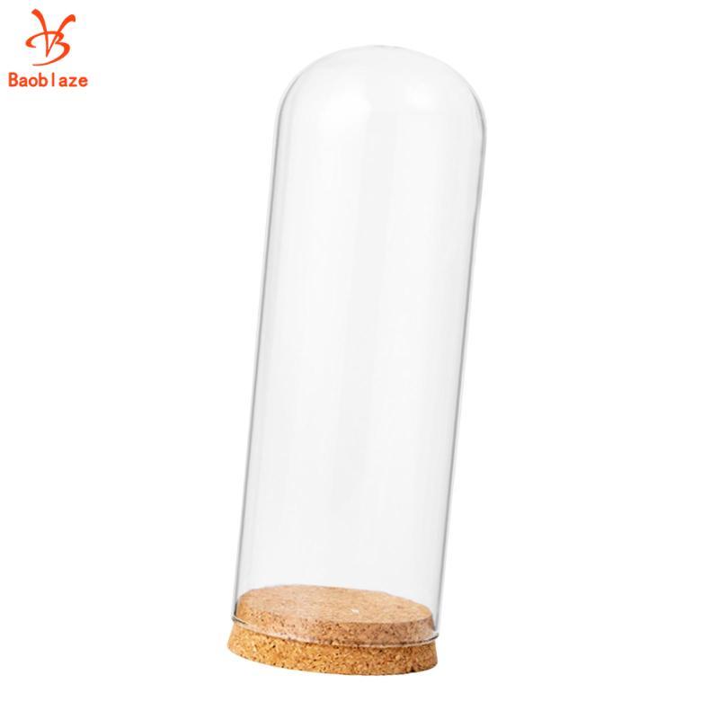 Baoblaze Dome Cloche Cover Glass Cloche Bell Jar Display Dome Pedestals DIY Container Glass Dome Dis