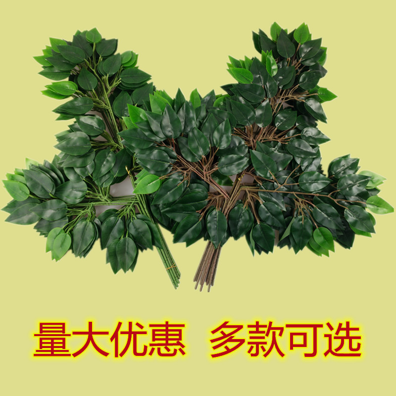 Mô Phỏng Lá Ficus Cảm Thấy Cao Su Cây Ficus Nhánh Giả Lá Cây Xanh Vườn Mùa Thu Xanh Kỹ Thuật Trang T