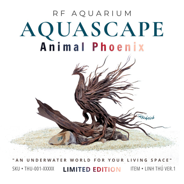 Limited | Phượng Hoàng