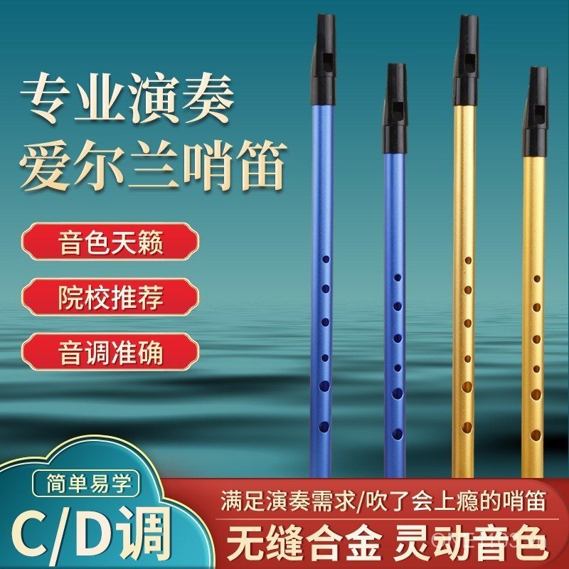 Sản phẩm mới Nhạc cụ Ailen Còi Còi Còi Phím D Còi Chìa Khóa Còi Sinh Viên Sử Dụng Ghi Âm Còi Piccolo