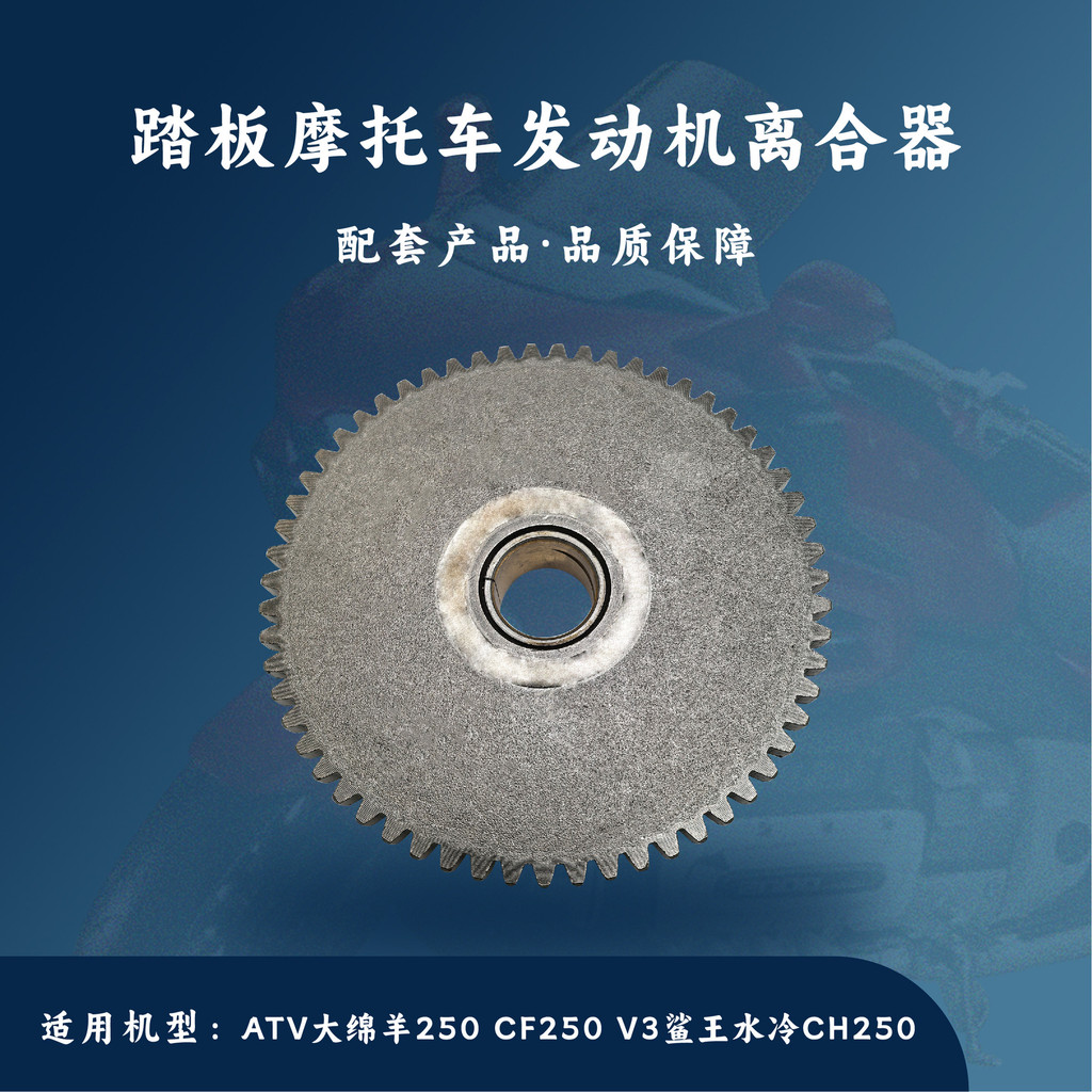 Động Cơ Xe Máy ATV Cừu Lớn 250 CF250 V3 Cá Mập Vua Nước Làm Mát CH250 Ngoài Ly Hợp 4.6