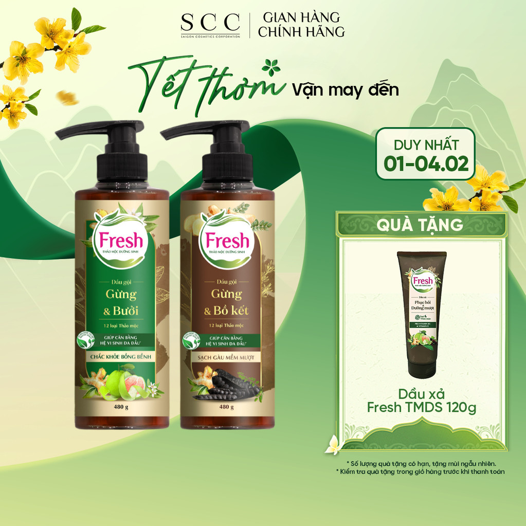 Dầu Gội FRESH Thảo Mộc Dưỡng Sinh 480g (Sạch Gàu Mềm Mượt / Chắc Khỏe Bồng Bềnh)