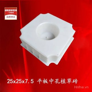 D4SN Phẳng Lỗ Vừa 25x25x7.5 Màu Bê Tông Gạch Công Viên Vuông Đỗ Xe Lô Sàn Gạch Cỏ Trồng Khuôn Nhựa