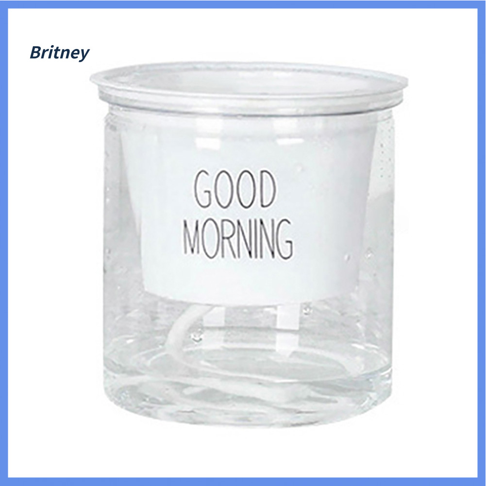 Britney 2 Bộ Hai Tầng Thủy Canh Epipremnum Aureum Tự tưới Hoa Trang Trí Nhà