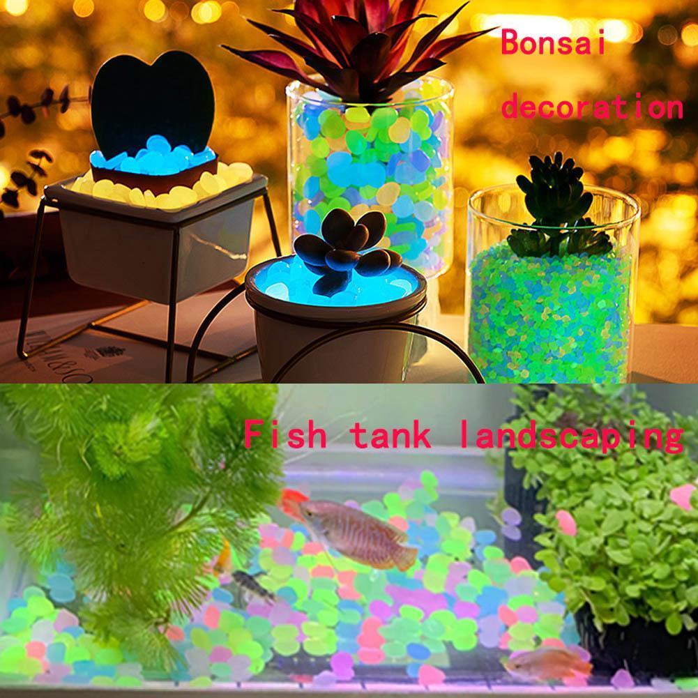 Túi Nhân Tạo Đá Dạ Quang Không Đều Đá Cá Huỳnh Quang Trang Trí Ngoài Trời Cảnh Quan F1a9