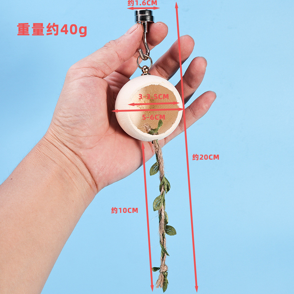 Đai ốc tự nhiên Vỏ nhện Tổ tắc kè nhỏ Dodge Tree Vine Leo từ tính Nhảy nhện Dodge Mantis Dodge Nest 