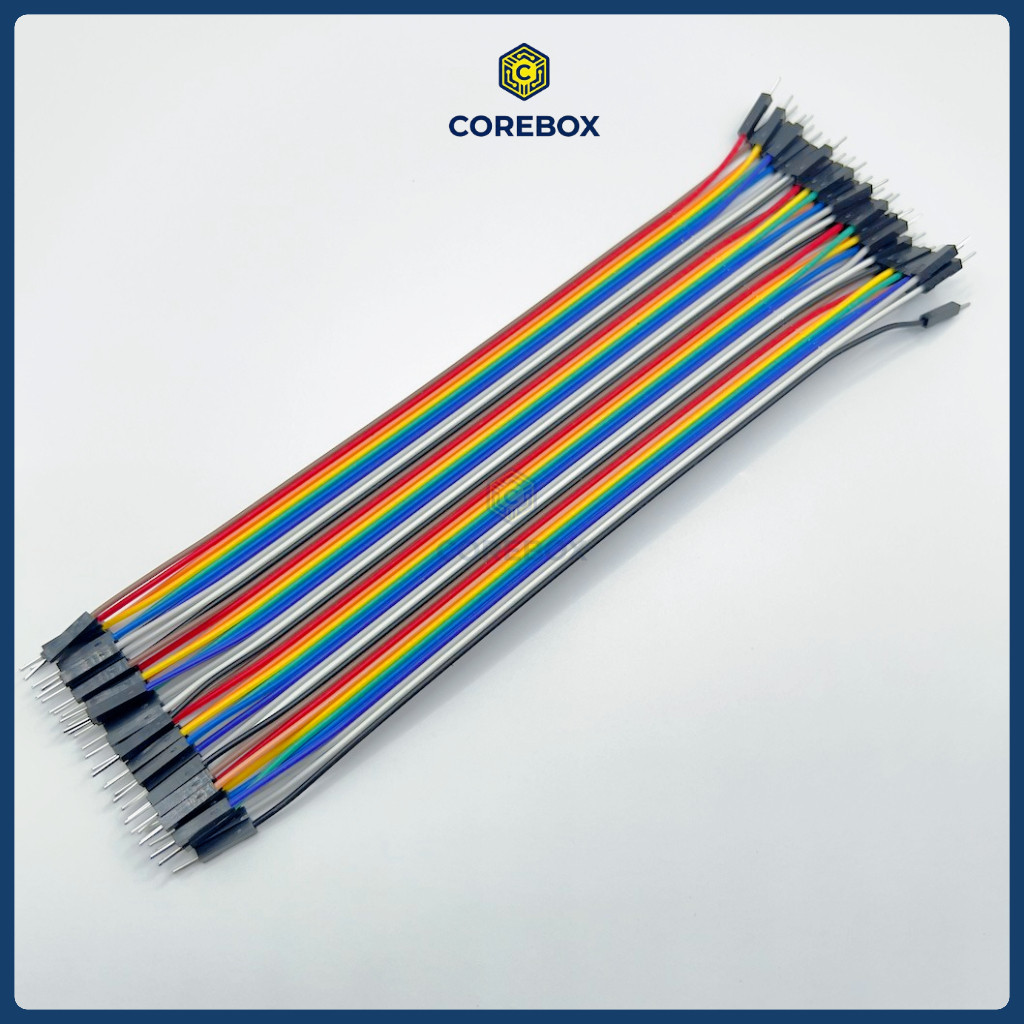 Dây Cắm Testboard 20cm Dây Bẹ 40 Sợi (Tùy Chọn Đực-Đực, Đực-Cái, Cái-Cái) - Jumper Wire 2.54mm - Cor