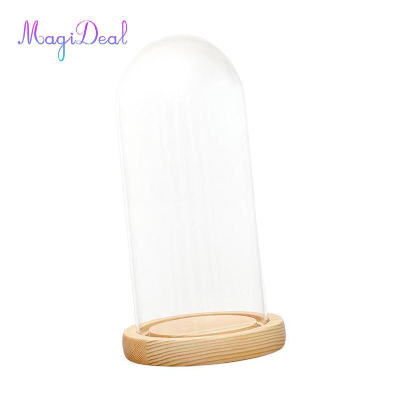 MagiDeal Glass Cloche Dome Chống bụi với đế gỗ Cloche Bell Jar Display Case