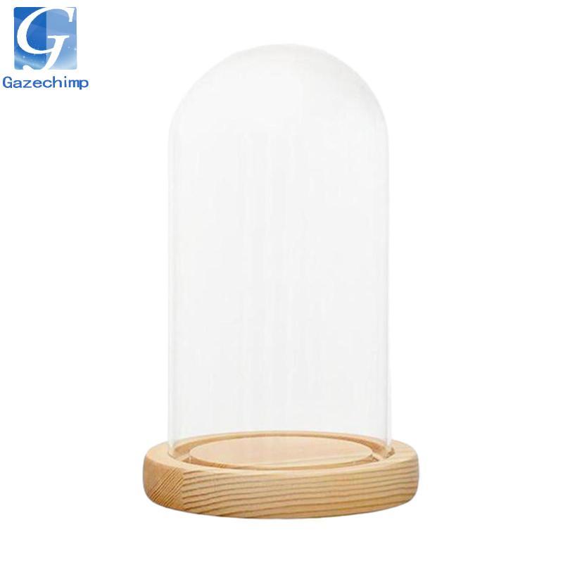 Gazechimp Display Cloche Dome Glass Bell Jar có đế gỗ Vỏ trong suốt trưng bày Hộp trưng bày Giá đỡ t