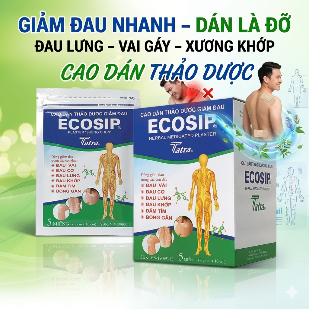 ECOSIP – Cao dán thảo dược giảm đau xương khớp (100 miếng)