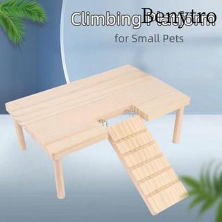 Bảng nhảy BENYTRO, Hamster Dễ dàng lắp đặt Thang gỗ, Phụ kiện lồng Đồ chơi cầu thang DIY bền bỉ Đồ chơi leo núi cho thú cưng nhỏ