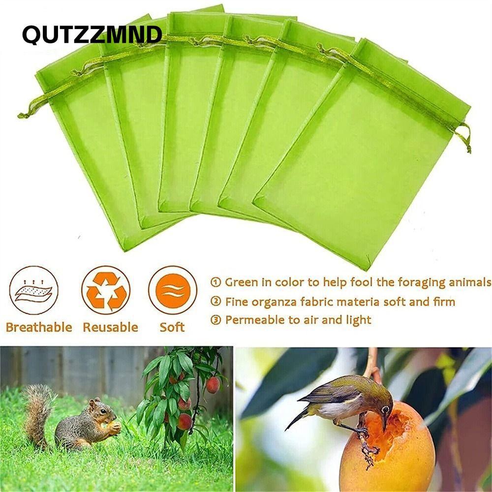 QUTZZMND 30 Chiếc Túi Trái Cây Dụng Cụ Làm Vườn Nylon Bảo Vệ Trái Cây Bảo Vệ Thực Vật Hoa Rau Dây Rú