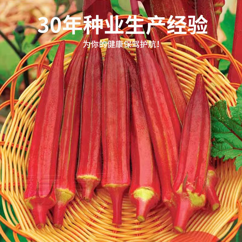 Hàng sẵn có Kem vận chuyển nhanh Trái cây Hạt đậu bắp đỏ Trang trại Vườn rau quả Chậu trái cây Hạt g