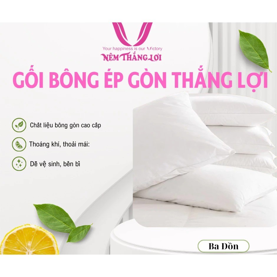 Gối Nằm Bông Gòn Thắng Lợi – Mềm Mại, Thoáng Khí, Êm Ái, Không Xẹp Lún – Size 40x60 & 50x70
