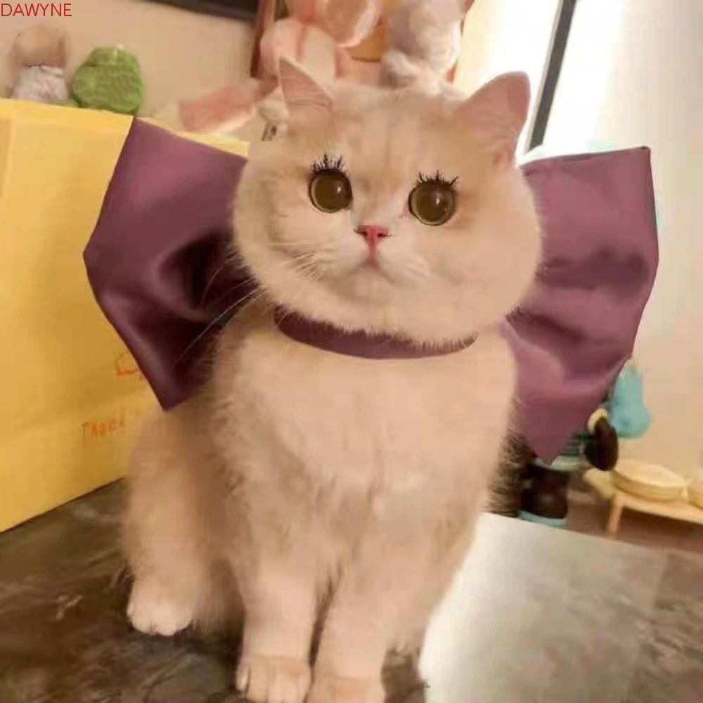 DWAYNE Cat Bow Tie Collar, Mũ nón nơ mèo có thể điều chỉnh trang trọng, Thoải mái trang trí thanh lị