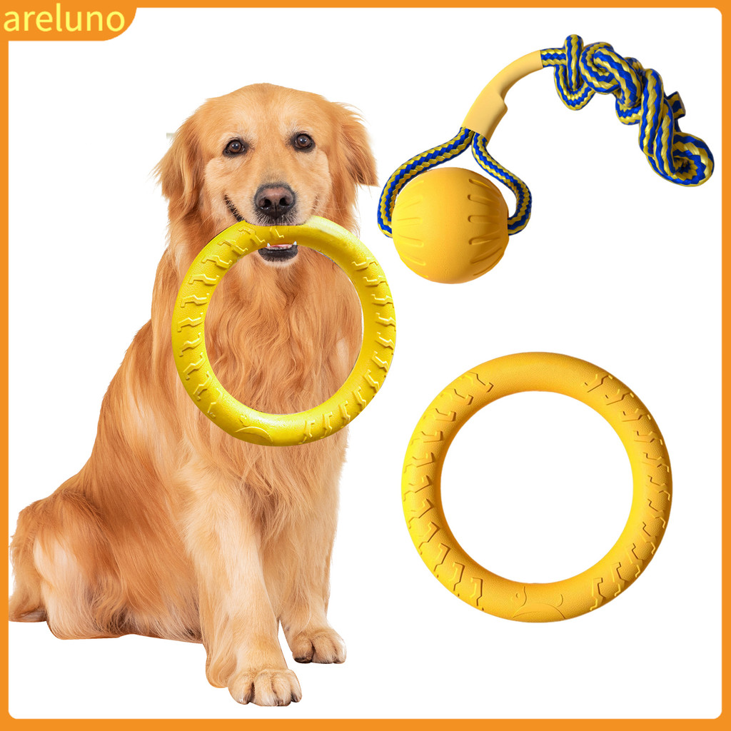 Thai| Dụng cụ huấn luyện chó di động Đồ chơi nhai cho chó Đồ chơi đĩa bay cho chó nhai – Vòng huấn l