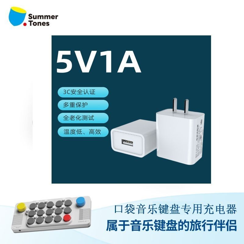 Bộ sạc chuyên dụng cho bàn phím nhạc bỏ túi Guangyu 315EASYPLAY (chỉ bán bộ sạc)