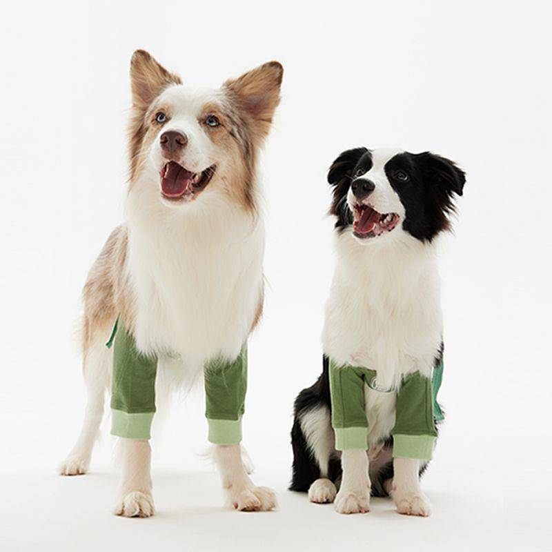 Dog Knee Pad Medium Large Dog Golden Retriever/Border Collie Joint Wear-Resistant Anti-Licking Front