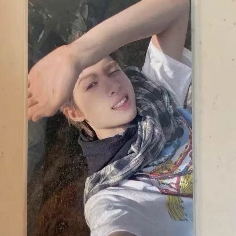 Cortis Martin che nắng Martin cửa hàng chim Martin thẻ nhỏ