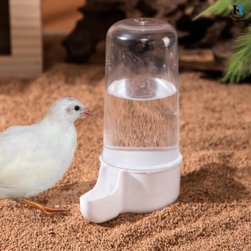 [GA] Hộp đựng thức ăn tự động Rutin Chien Hộp đựng thức ăn chống lật dung tích lớn Đồ dùng cho gia c