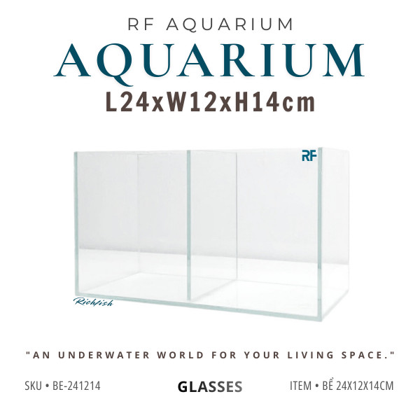 Bể 24x12x14cm 2 ngăn