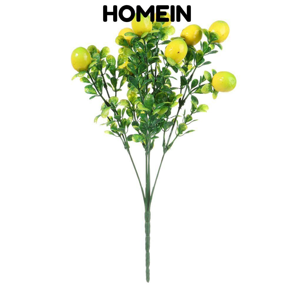 HOMEIN Lemon Branch Farmhouse Garden Lemon Tree Cây cảnh cho gia đình có lá xanh