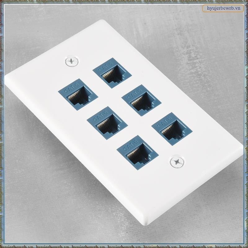Cat 6 Ethernet Wall Plate 6 Cổng, Ethernet Wall Plate Nữ-Nữ Có Thể Tháo Rời Tương Thích Với Cat7 / 6