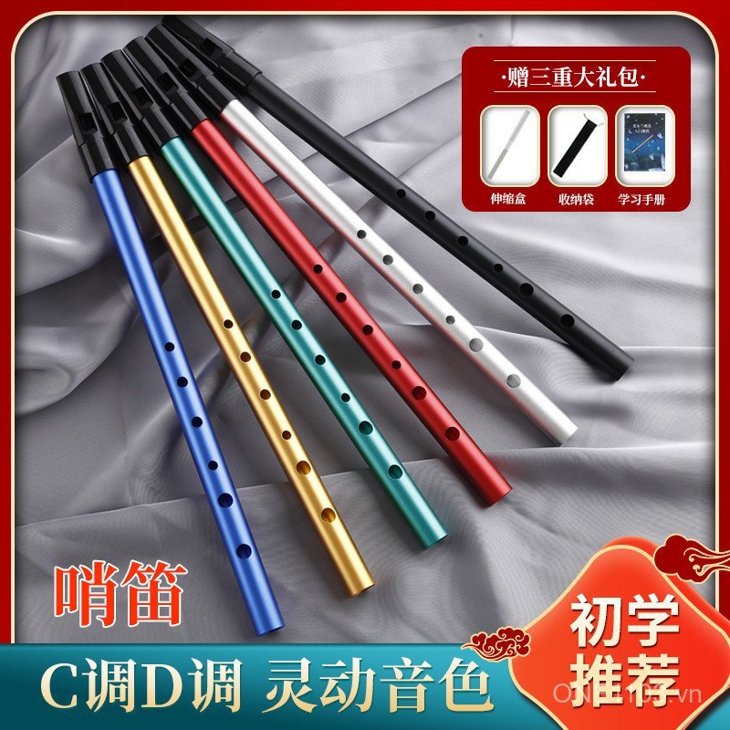 Sản phẩm mới Nhạc cụ Ailen Còi Còi Còi Phím D Còi Chìa Khóa Còi Sinh Viên Sử Dụng Ghi Âm Còi Piccolo