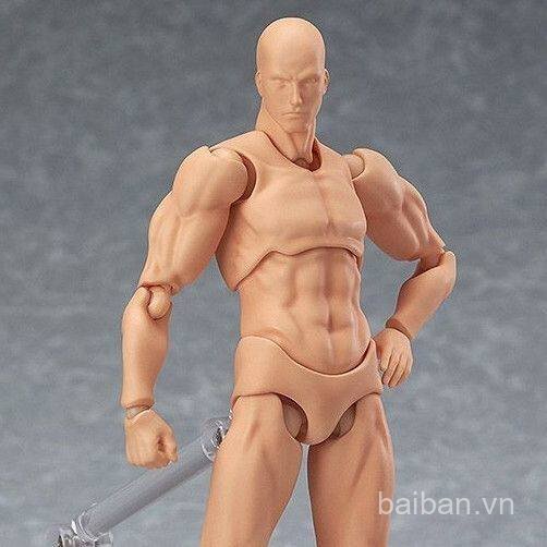 2.0 Cơ Thể Công Thái Học Mô Hình Sinh Viên Nghệ Thuật Tranh Tham khảo Nam Nữ Đồ Trang Trí figma Khớp