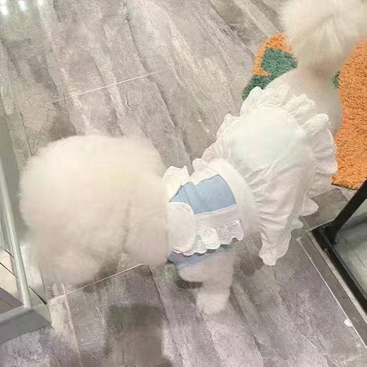 Spring and Summer Cute Maid Costume Pet Lace Skirt Dog Bichon Teddy Cat Small Dog Clothes h5lh