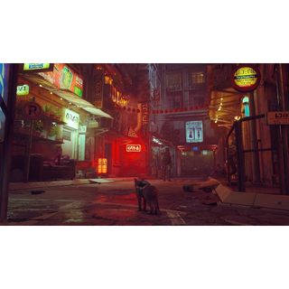 Băng Game Stray Nintendo Switch